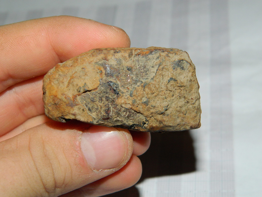 peruna 037