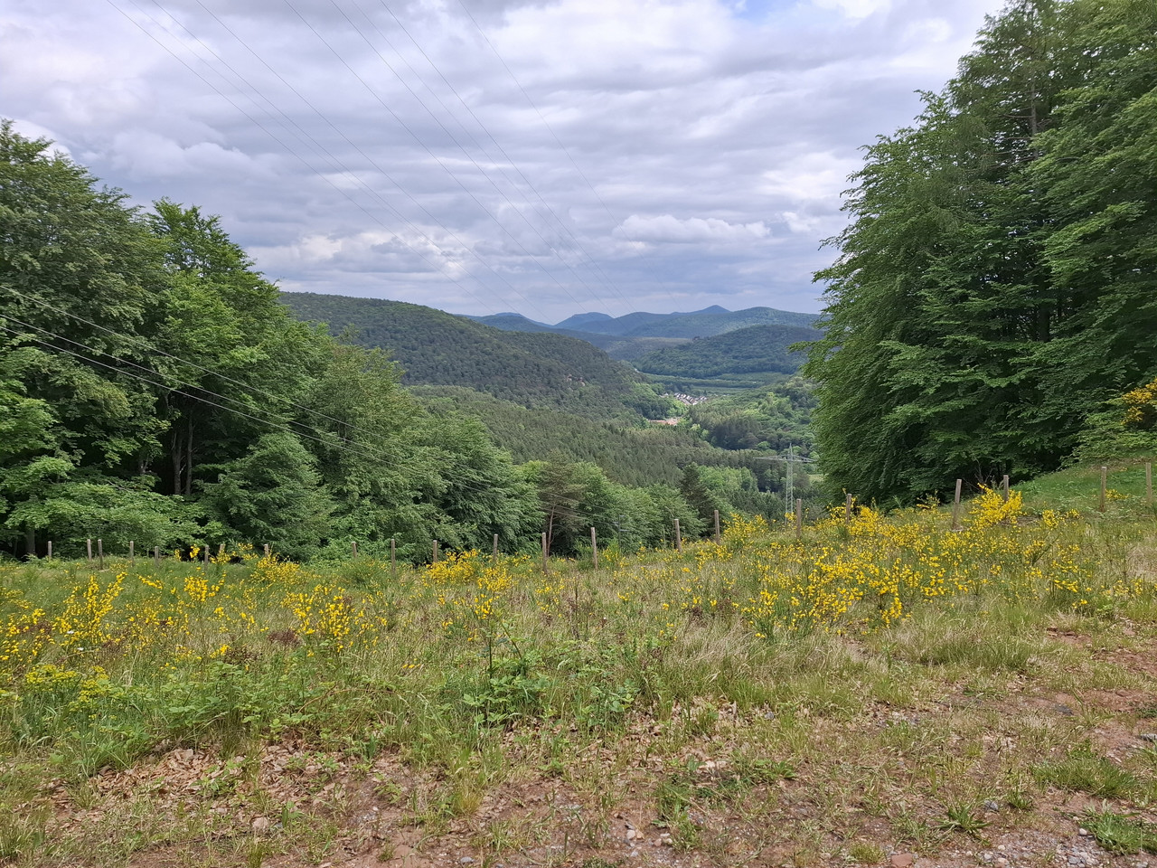 20260513-141809.jpg