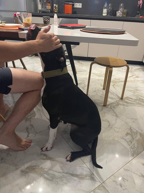 7A5367EB-44F6-4BBC-BD3C-6A9F5D5B225E