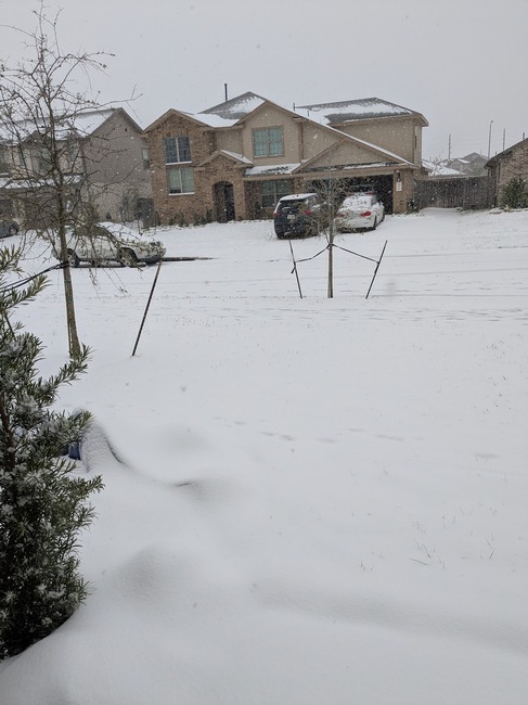 2025snowstorm200-ezgif-com-resize.jpg