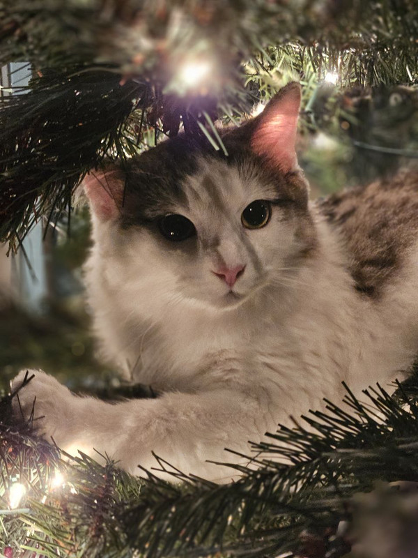 photo 2026 02 28 08 26 22