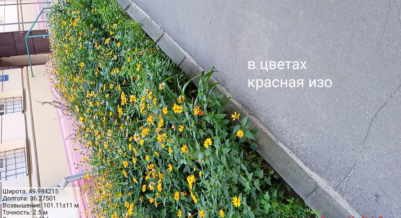 у1ф — Postimages