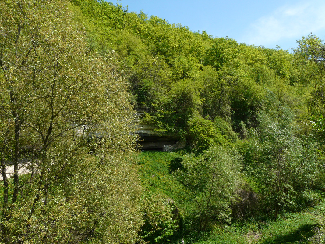 P1290432.jpg