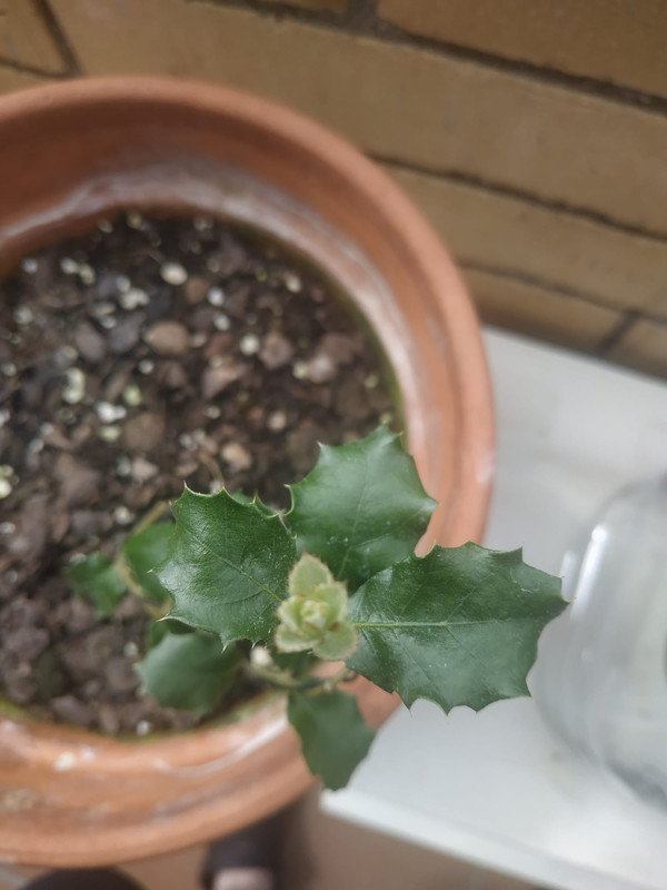 WhatsApp Image 2020-05-27 at 13.25.36 (2)