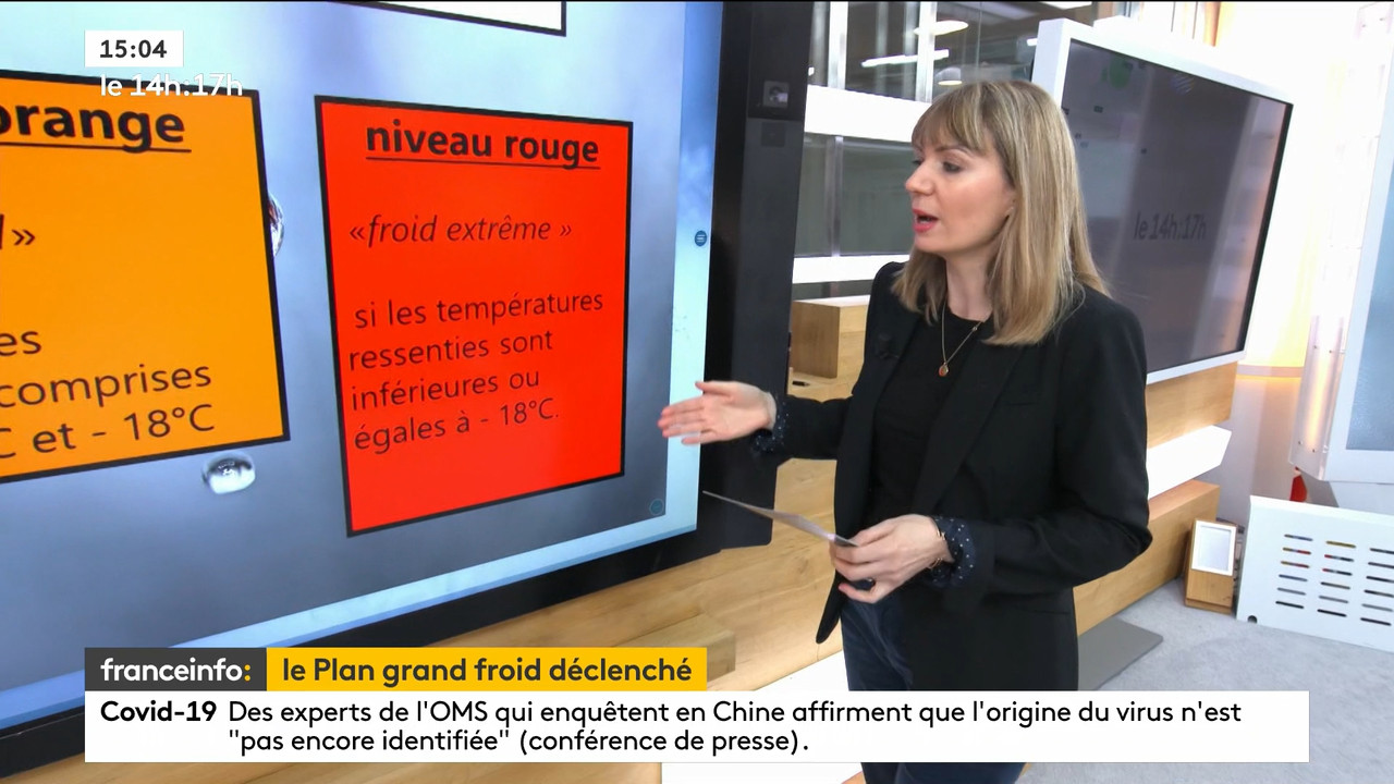 02.09 - 12.59.00 - Le 14h-17h. Au sommaire   Vrai ou fake. - francein..._001.ts_snapshot_00.10.893