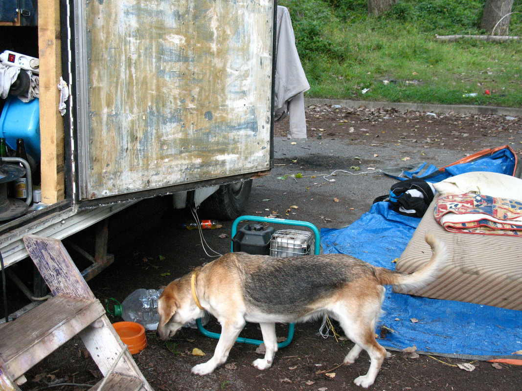 ADP System Pancharevo 2009 (10)