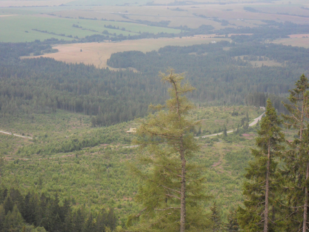 028 - SDC13860 (Czesio1)