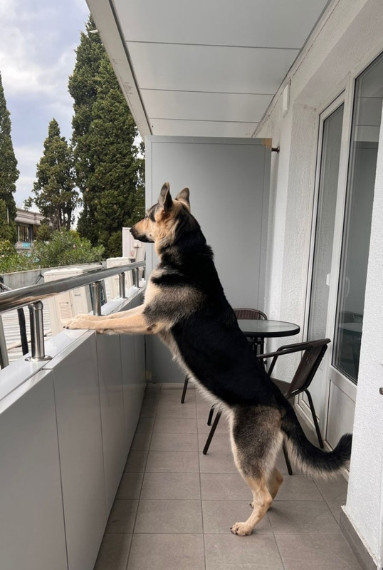 yJAapELisYQIjxeBkLbZOMn2CW2b_1HXGfbwjZWUQCtyuw6BZPdYCMkoIq3grGrKu3Ztx00Vr8RfEmwtQ9fmSfeT