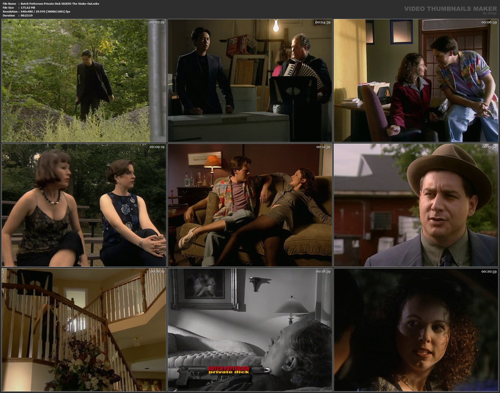 Butch Patterson Private Dick S02E05 The Stake-Out.mkv