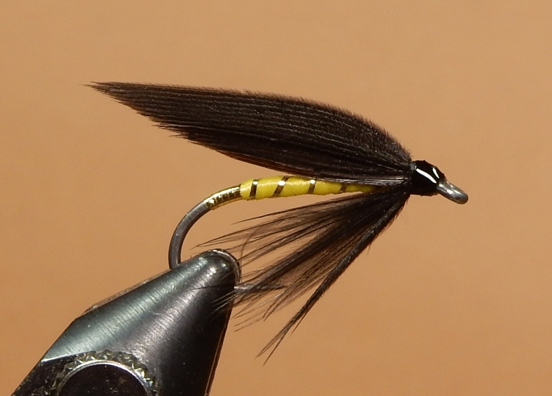 Yellow-Black-1080.jpg