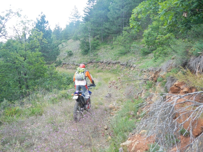 Zlatibor juli 2013 (62)