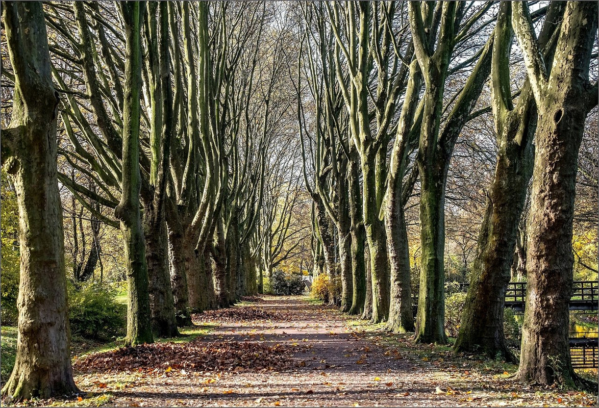 X-T20 DSCF3643 2017 BOT Strünkede LR ERWZ FB