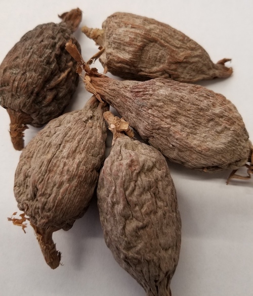 West-African-Alligator-Pepper