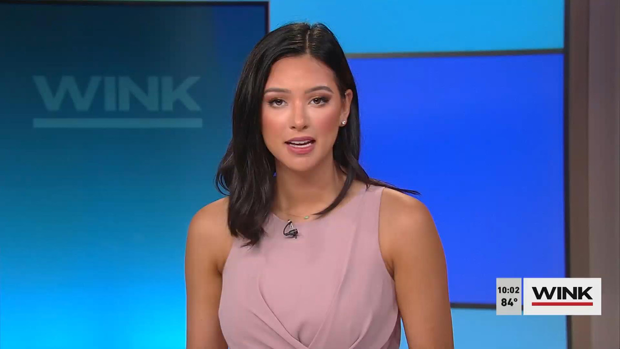07.25 - 14.00.00 - WINK News at 9 00 a.m. Sunday. News.ts_snapshot_05.16_[2021.07.25_16.02.20]