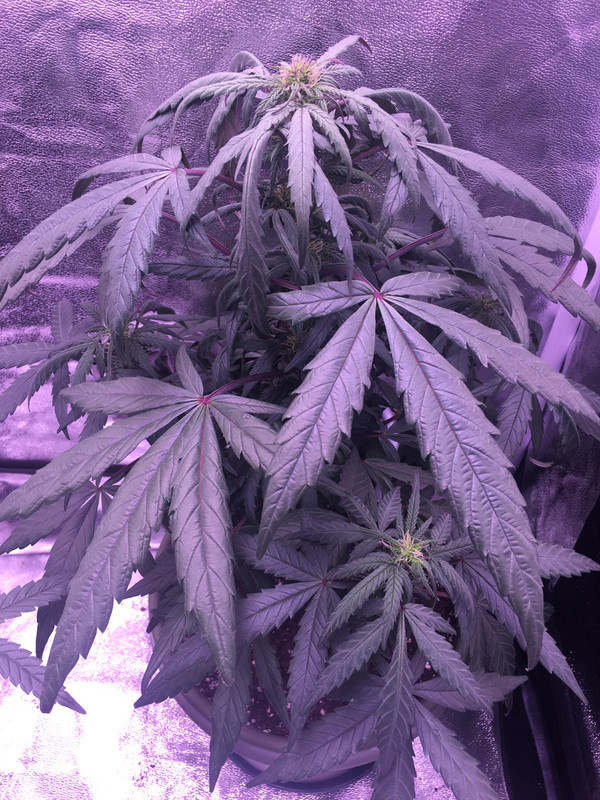 85456D59-FCE3-4E9C-91DA-3A7B458B8182