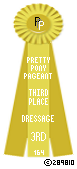 Dressage-164-Yellow.png