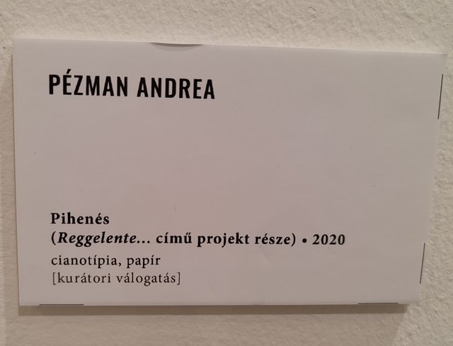 Kép