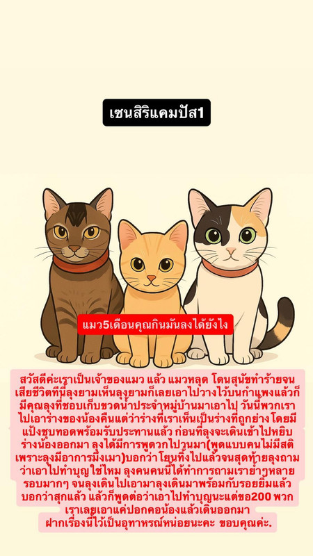 514040565-1890462914867527-5571098965235313315-n