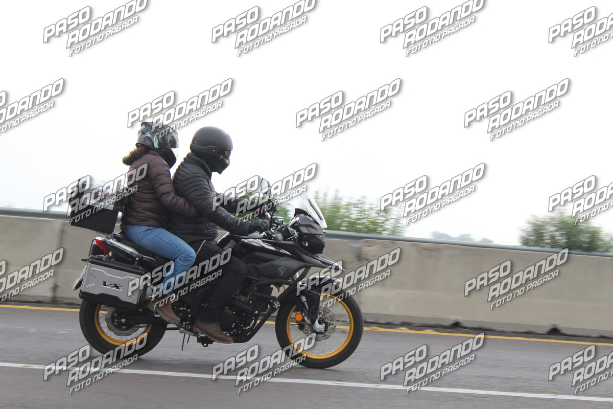 IMG 3500 wm 812174 5 watermarked — Postimages