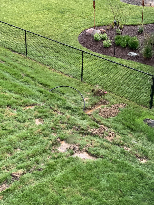 14B50BC2-9CB5-41D6-BB18-9C44A016DAFA