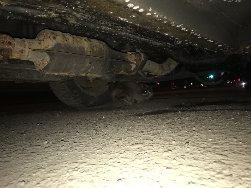 94AA9143-44E5-4C8C-9D45-69C97E17911D