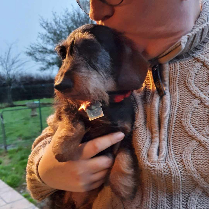 [Image: Resized-20201211-083158.jpg]