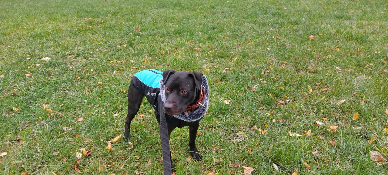 D5BF1DD6-0D4F-48CD-A595-26DBFDBE4000