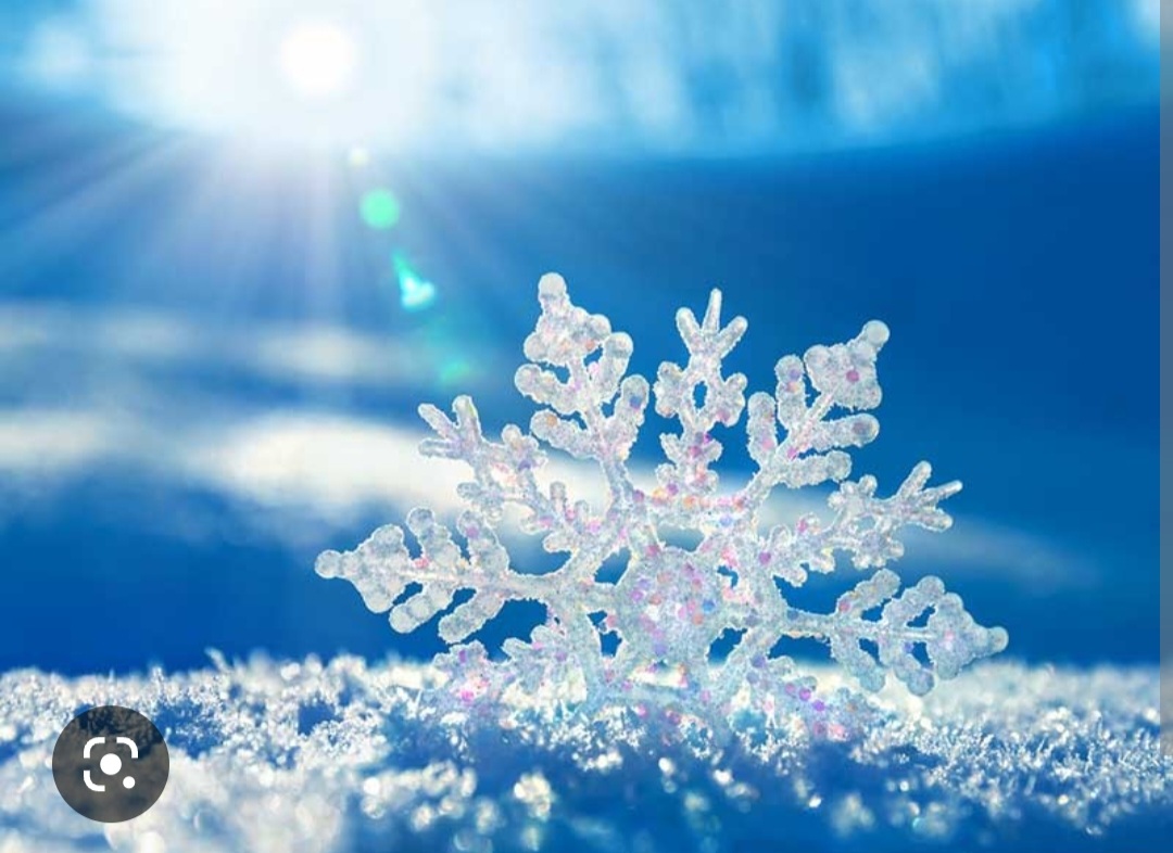 Screenshot_20221125-001937_Chrome