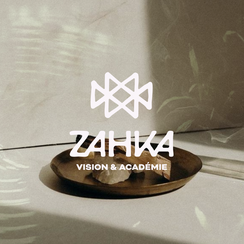 Zahka Vision & Académie