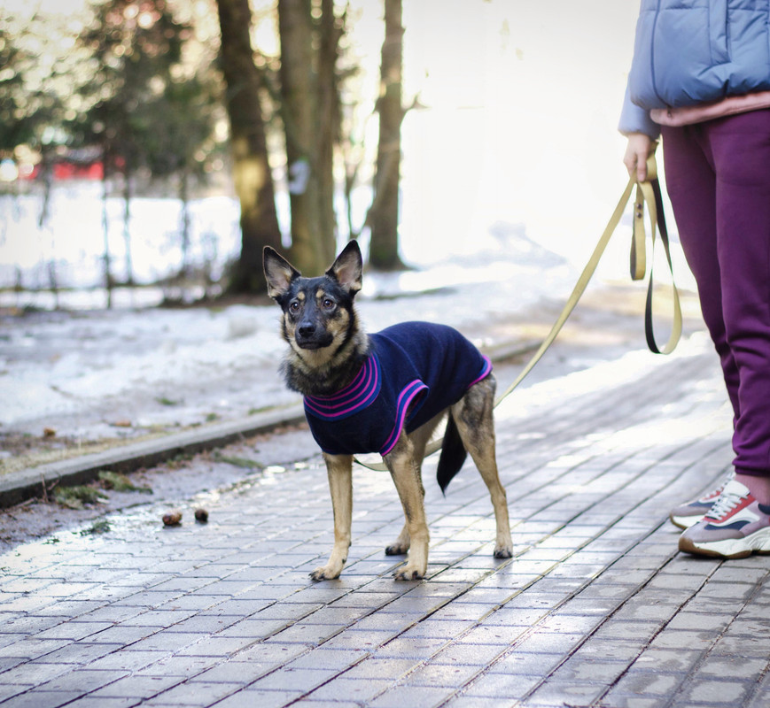 A182DE94-8914-4A44-A6EB-3C0E9AB9FCED