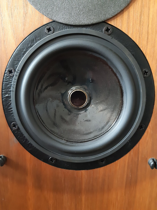 13 LH Lower