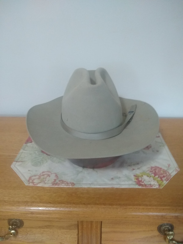IMG-20220821-081744427.jpg