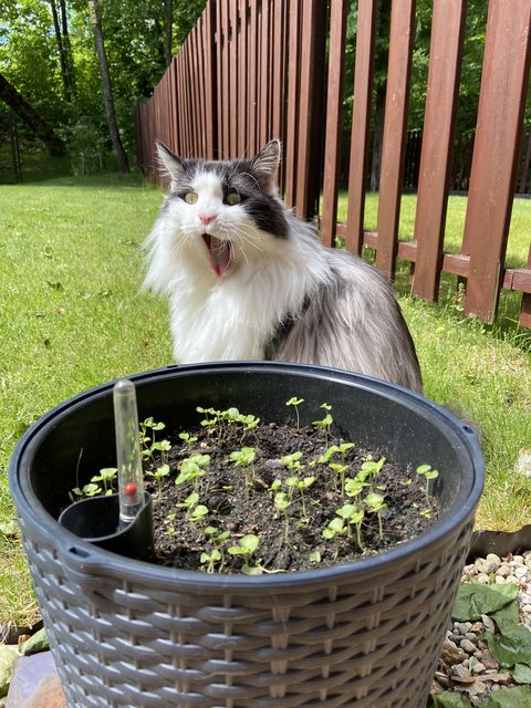 D3-D73-BAC-F761-48-D3-AE3-D-810-D1-A3758