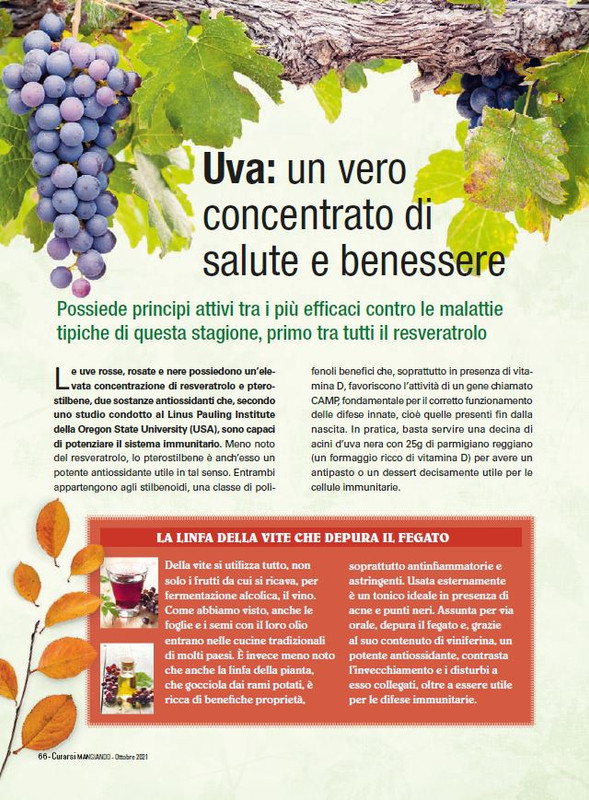 Cur Mang Ott 2021 (6)