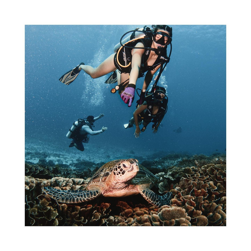 Potret momen seru keluarga Nia Ramdhani saat liburan, sambangi Labuan Bajo hingga Pulau Bali.