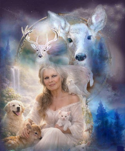 pixiz 03 01 2026 18 13 08