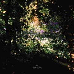 Saving Face - Love Above All Else (2026).mp3 - 320 Kbps