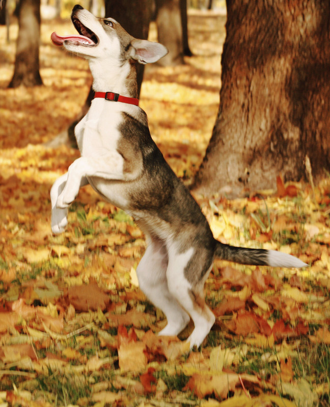 E000A40E-3B0B-4397-B865-2BABF6297494