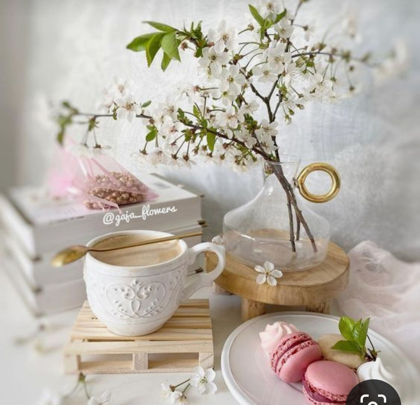 Screenshot_20240329_132706_Pinterest