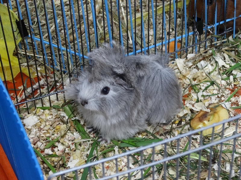 DSC02308