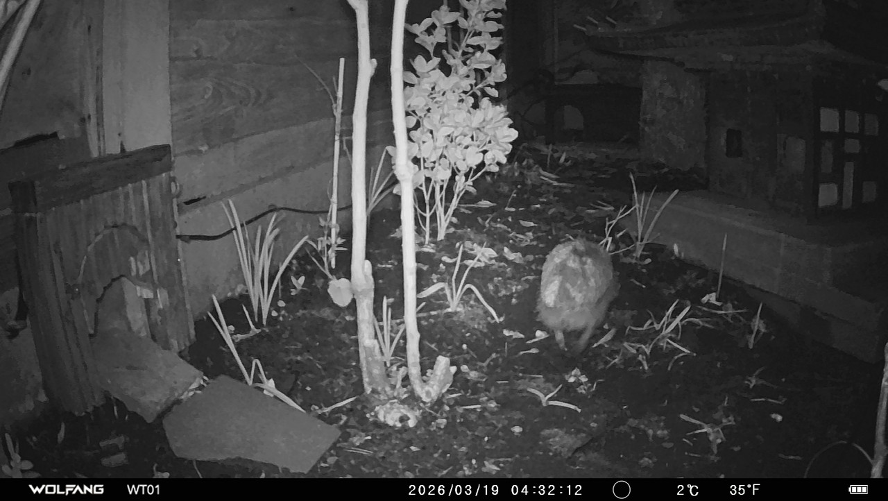IMAG0017