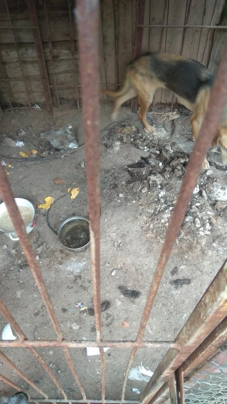 25661422-4639-4E71-9F37-C5997C72B1BD