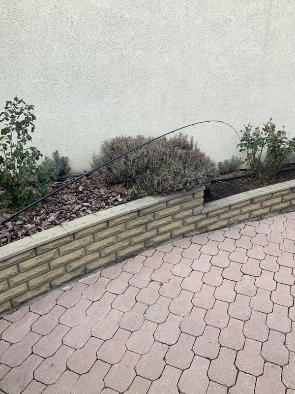 40F3621A-E828-4A3F-BAD6-686DDAFB2642