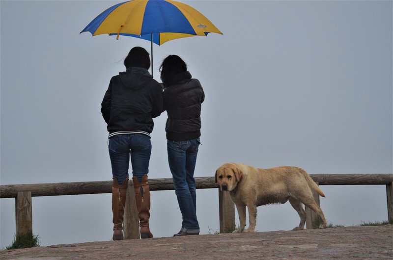 PICOS DE EUROPA-16-5-2013-LEON/ASTURIAS/CANTABRIA - Paseando por España-1991/2016 (42)