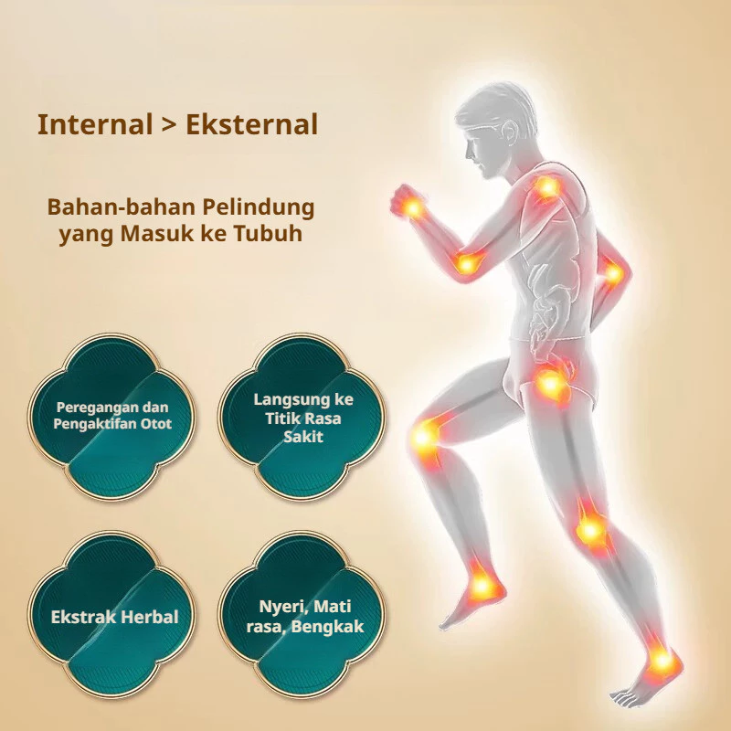OsteoDeer Pro Gambar 8 - Tendon 4