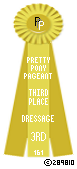 Dressage-161-Yellow.png