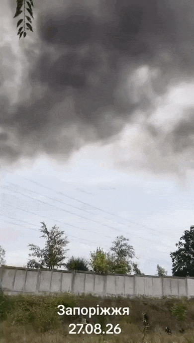 https://i.postimg.cc/bvHwzkDw/video-2026-08-25-02-28-32-(1).gif