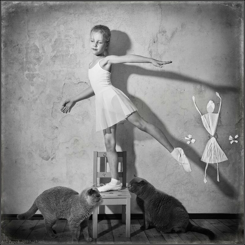 12144939-889114747821284-5478533877611822649-n