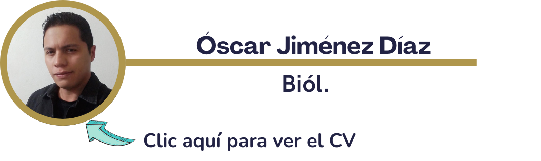 Jesús E. Gutiérrez Cruz