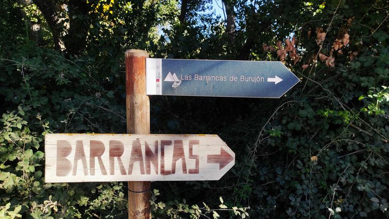 Barrancas de Burujón-2015/2025 - Toledo y sus pueblos-1996/2026 (58)